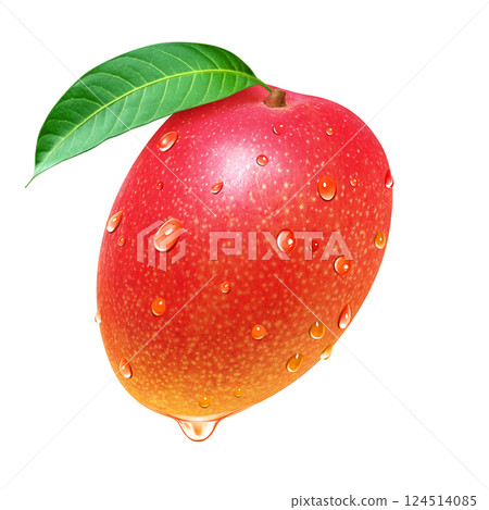 Mango illustration realistic white background Mango illustration realistic white background 124514085
