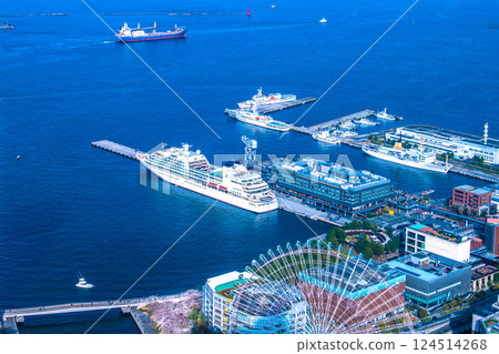 日本橫濱市容櫻花，初綻。首次抵達的新光碼頭的 Seabourn Quest 景色和盛開的櫻花（30 日） 124514268