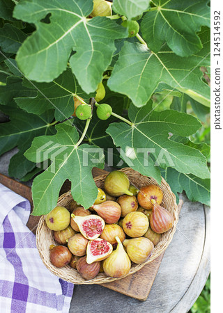 Figs fruit Figs fruit 124514592