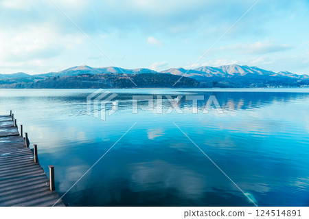 Swans on Lake Yamanaka and Mount Fuji 124514891