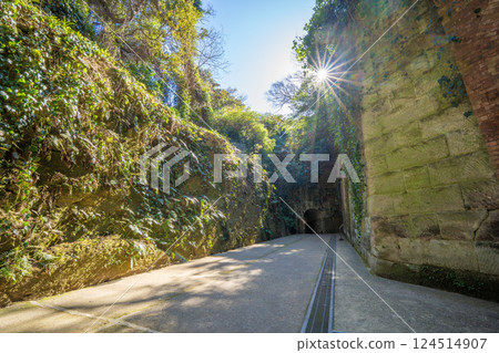 Sashima's fortress trace 124514907