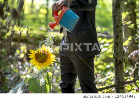 Businessman watering a sunflower Businessman watering a sunflower 124514942