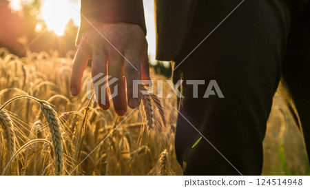 Closeup view of businessman touching ripening wheat ear 124514948
