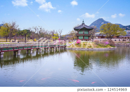 Gyeongbokgung palace in spring in seoul city of korea, south korea. Gyeongbokgung palace in spring in seoul city of korea, south korea. 124514969