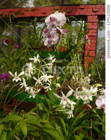 Early summer botanical garden 124515090
