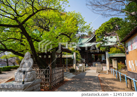 Ebara Shrine in early spring, Shinagawa, Tokyo 124515167