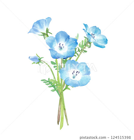 Spring flowers: watercolor illustration of a bouquet of nemophila 124515398