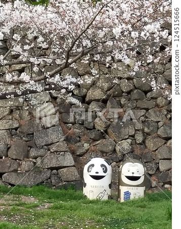 Animal trash can under the cherry blossoms Animal trash can under the cherry blossoms 124515666