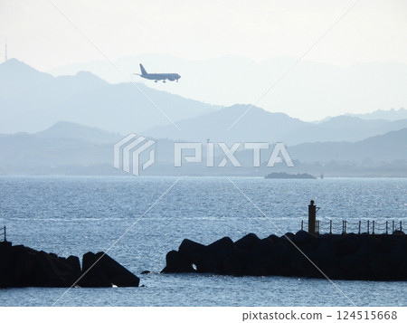 Passenger plane landing at Kochi Ryoma airport Passenger plane landing at Kochi Ryoma airport 124515668