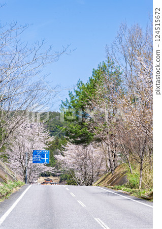 指示牌與櫻花樹排成一排 「水的溫暖與櫻花的美麗令人心曠神怡」 天岩戶之湯(宮崎縣西臼杵郡高千穗町) 指示牌與櫻花樹排成一排 「水的溫暖與櫻花的美麗令人心曠神怡」 天岩戶之湯(宮崎縣西臼杵郡高千穗町) 124515672