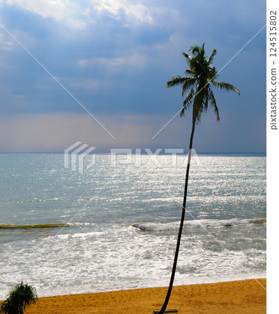 Sea, palm tree silhouette and bright sunset. Concept - vacation and travel. Sea, palm tree silhouette and bright sunset. Concept - vacation and travel. 124515802