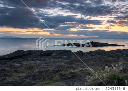 Miura Coast: Evening view of reefs and silver grass overlooking Sagami Bay Miura Coast: Evening view of reefs and silver grass overlooking Sagami Bay 124515846