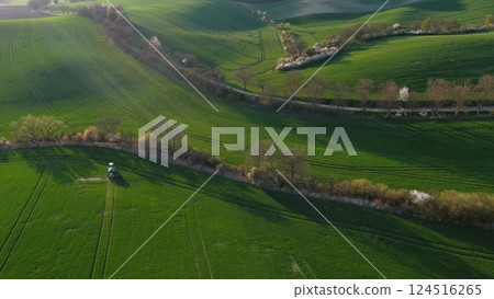 Green wavy hills with agricultural fields Green wavy hills with agricultural fields 124516265