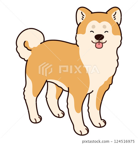 一隻微笑著的秋田犬站在主線上的簡單可愛的插圖 124516975