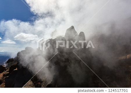 Steam activity in New Zealand 124517701