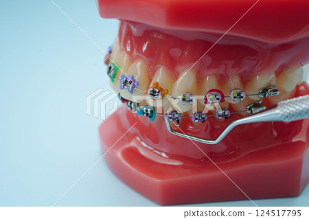 Dentist equipment, dental instrument, tools for dental professionals use to provide dental treatment. 124517795