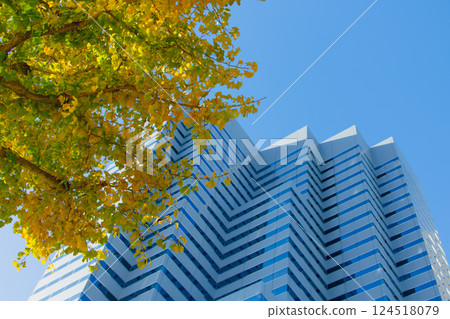 Eco friendly office building. modern city. Green tree in urban, metro green environment in Japan. Eco friendly office building. modern city. Green tree in urban, metro green environment in Japan. 124518079
