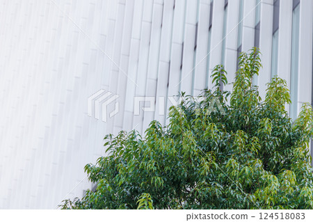 Green tree with office building background in modern city green city urban area copy space for text 124518083