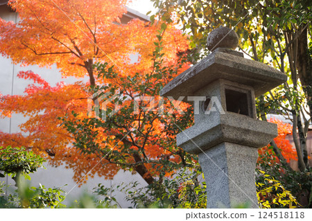 Japanese temple in red maple autumn season travel landmark at Kyoto Japan for background. Japanese temple in red maple autumn season travel landmark at Kyoto Japan for background. 124518118