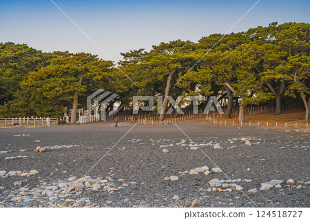 Sunrise view of the pine forest from Miho no Matsubara in Shizuoka City (Shizuoka Prefecture) 124518727