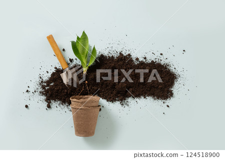 Various gardening hand tools, flower and soil on blue background. Spring gardening. Concept season planting, work and hobby. Top view. 124518900