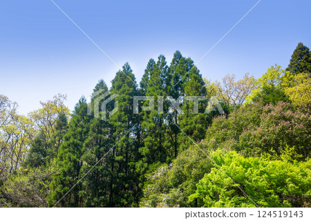 April Fresh green ridgeline 124519143