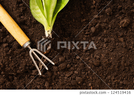 Garden hand cultivator and planting flower on soil. Season gardening and work. Hand rakes. Hobby. Close up. 124519416