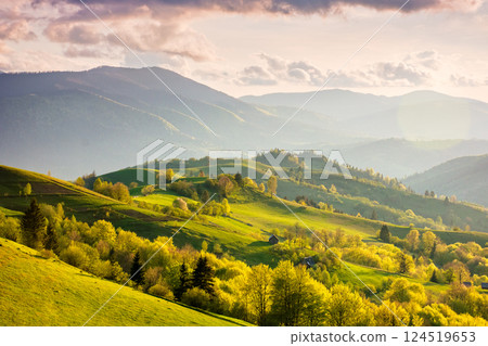 rural area with rolling hills at sunset. green environment. cloudy weather. carpathian mountain landscape of ukraine. forest and grassy meadow on the hillside. great outdoor adventure rural area with rolling hills at sunset. green environment. cloudy weather. carpathian mountain landscape of ukraine. forest and grassy meadow on the hillside. great outdoor adventure 124519653