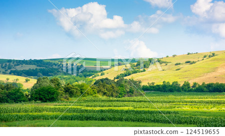 beautiful countryside of romania. scenic view. sunny day. wonderful summer landscape in mountains. green field and rolling hills. rural scenery. provincial europe beautiful countryside of romania. scenic view. sunny day. wonderful summer landscape in mountains. green field and rolling hills. rural scenery. provincial europe 124519655