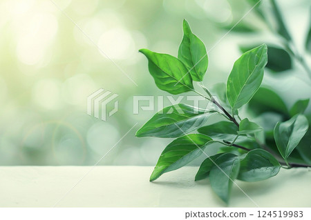 Fresh green leaves gently resting on a soft surface with a blurred nature backdrop. 124519983