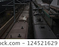 Train roof and pantograph 124521629