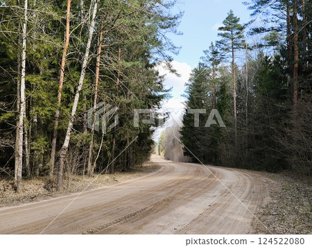 Forest dirt road. Beautiful spring landscape. road in the woods 124522080