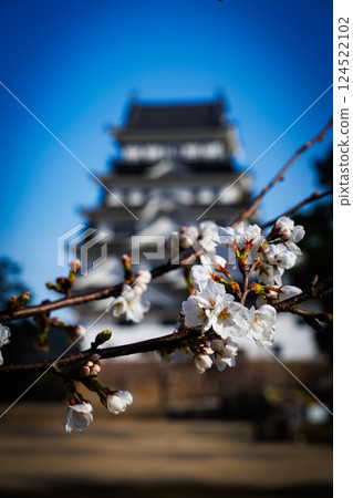 櫻花和城堡塔 124522102