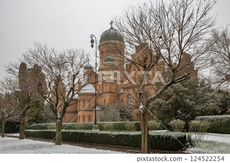 Chernivtsi National University Three Hierarchs Church in winter, Ukraine. 124522254