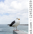 One Seagull Bird Sitting on Concrete, Blue Sea or Ocean With Blue Sky on Background. Vacation, Leisure, Summer Time. Vertical Plane, Space for Text. Freedom. Vertical 124522659