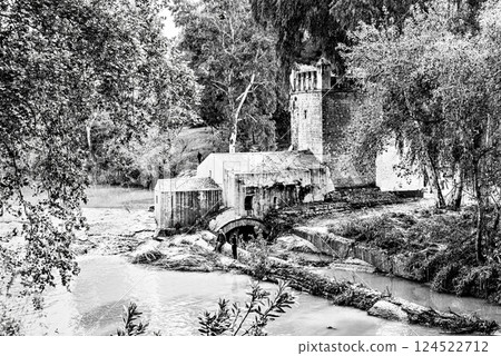 Carob mill along the banks of the Guadaira River, within Oromana Park in Alcala de Guadaira, Seville. Black and white effect 124522712