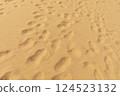 Many foot tracing, footstep on yellow desert sand, dunes. Nobody. Travel Destination, Vacation. Horizontal. 124523132