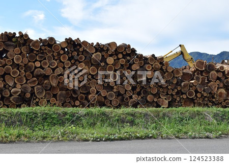 A large number of stacked logs 124523388