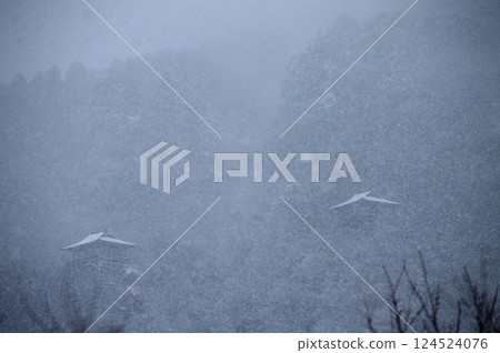Snowy Misasa Monjudo Hall 124524076