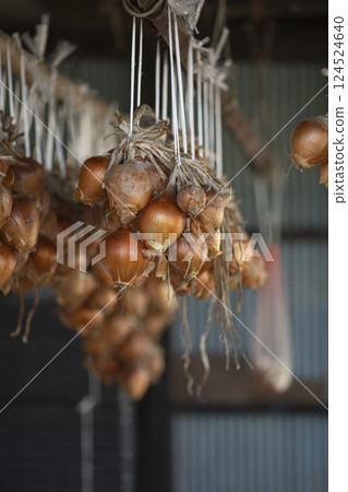 Onions hung to dry 124524640