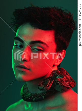 Beauty light, snake and face of model with creative color fashion, red neon lighting and luxury facial skincare. Creativity, individuality and aesthetic man with python on green studio background Beauty light, snake and face of model with creative color fashion, red neon lighting and luxury facial skincare. Creativity, individuality and aesthetic man with python on green studio background 124524727