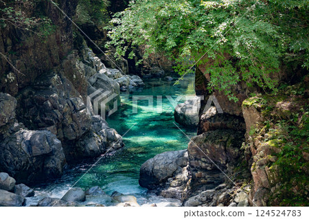 <Nagano> Beautiful scenery of Atera Valley 124524783