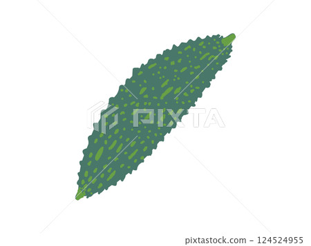 夏季蔬菜·goya 124524955