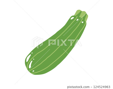 夏季蔬菜：西葫蘆 124524963