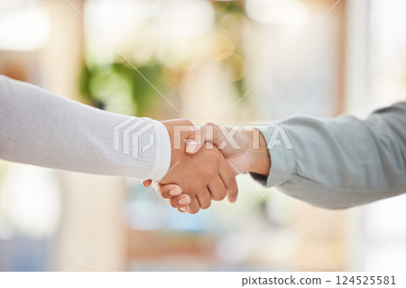 Business people shaking hands, meeting and consulting, networking and hiring agreement, partnership goals or office onboarding. Welcome handshake, hr worker promotion or b2b management support deal 124525581