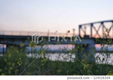 on the riverbed in the morning on the riverbed in the morning 124526304