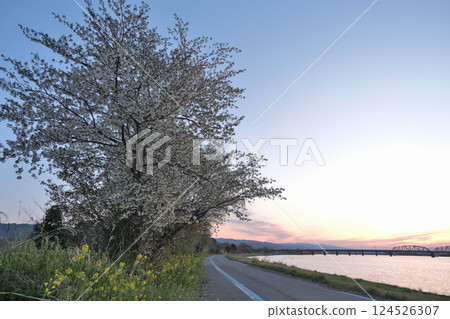 on the riverbed in the morning on the riverbed in the morning 124526307
