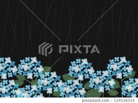 繡球花,背景,雨季,玻璃紙,黑色,藍色,水平 繡球花,背景,雨季,玻璃紙,黑色,藍色,水平 124526333