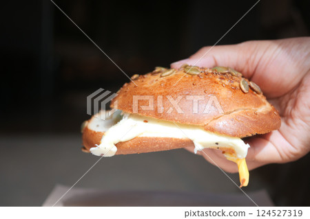 Freshly prepared sandwich with cheese and seeds in hand 124527319