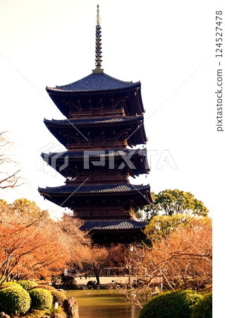 Kyoto Prefecture, Toji Temple, Five-Story Pagoda (National Treasure), Kujo-cho, Minami-ku, Kyoto City, February 2022 Kyoto Prefecture, Toji Temple, Five-Story Pagoda (National Treasure), Kujo-cho, Minami-ku, Kyoto City, February 2022 124527478